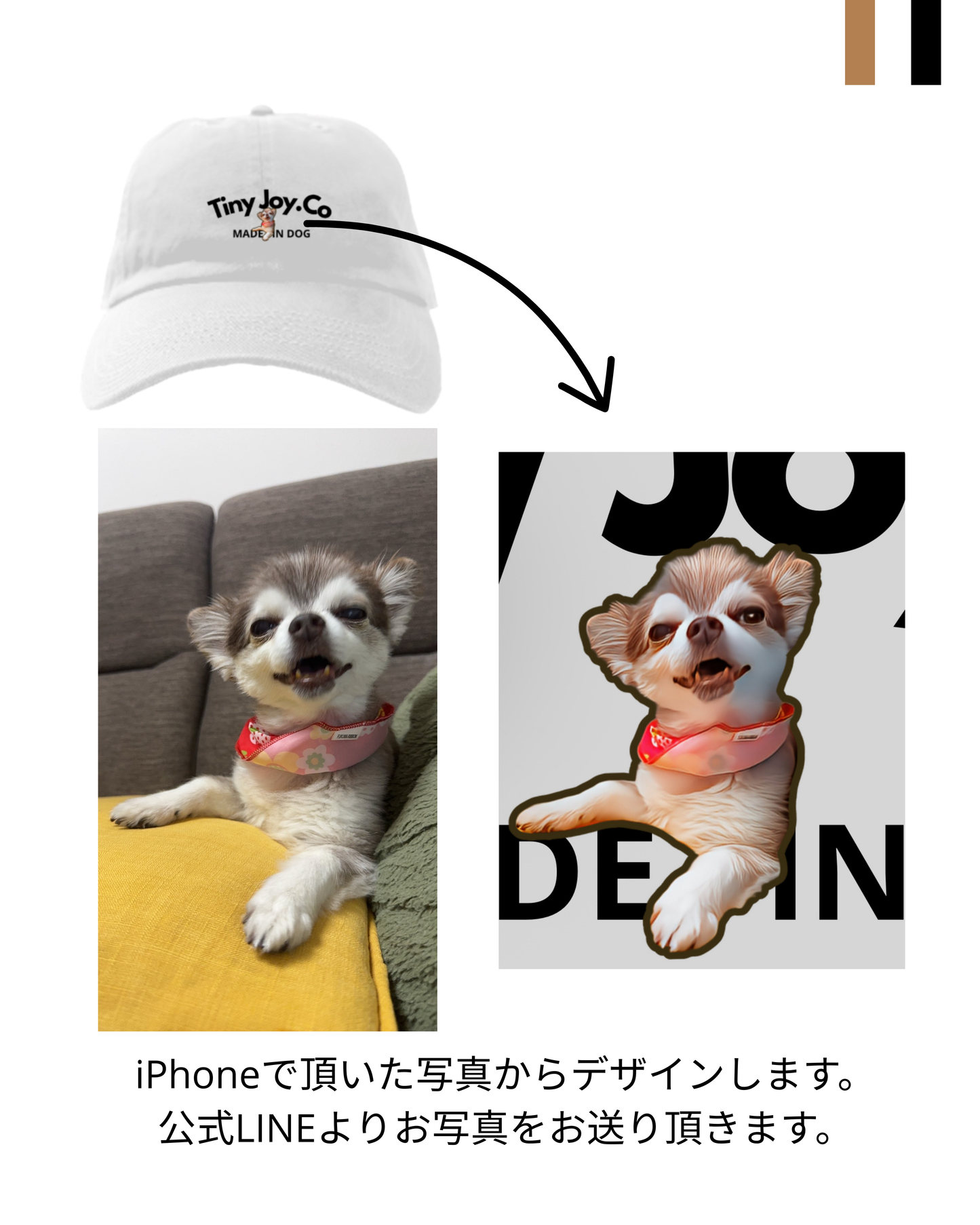 PET ペットオリジナルキャップ