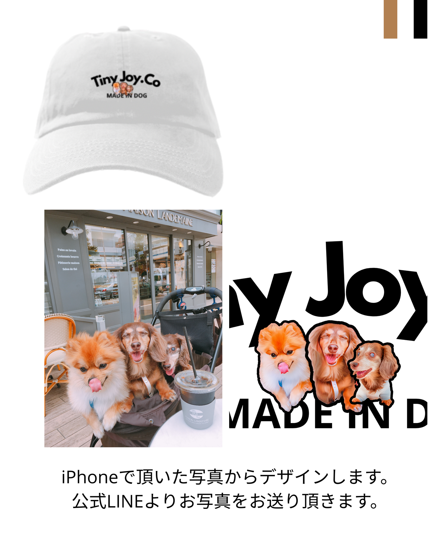 PET ペットオリジナルキャップ