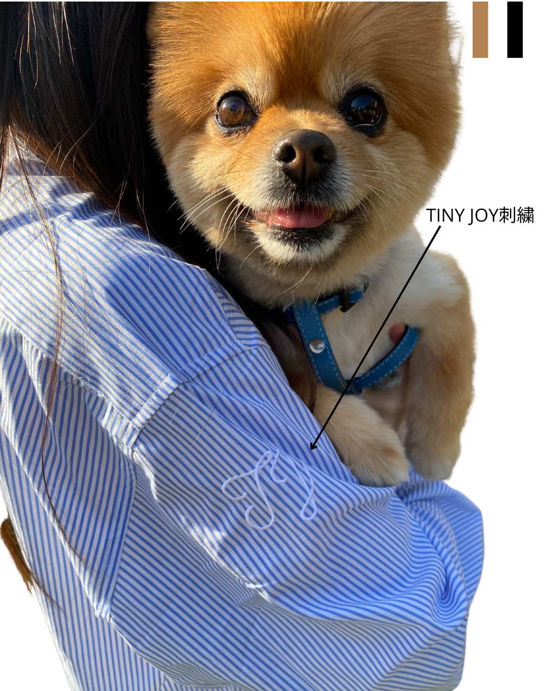ユニセックスMy PET オリジナルブルーストライプシャツ