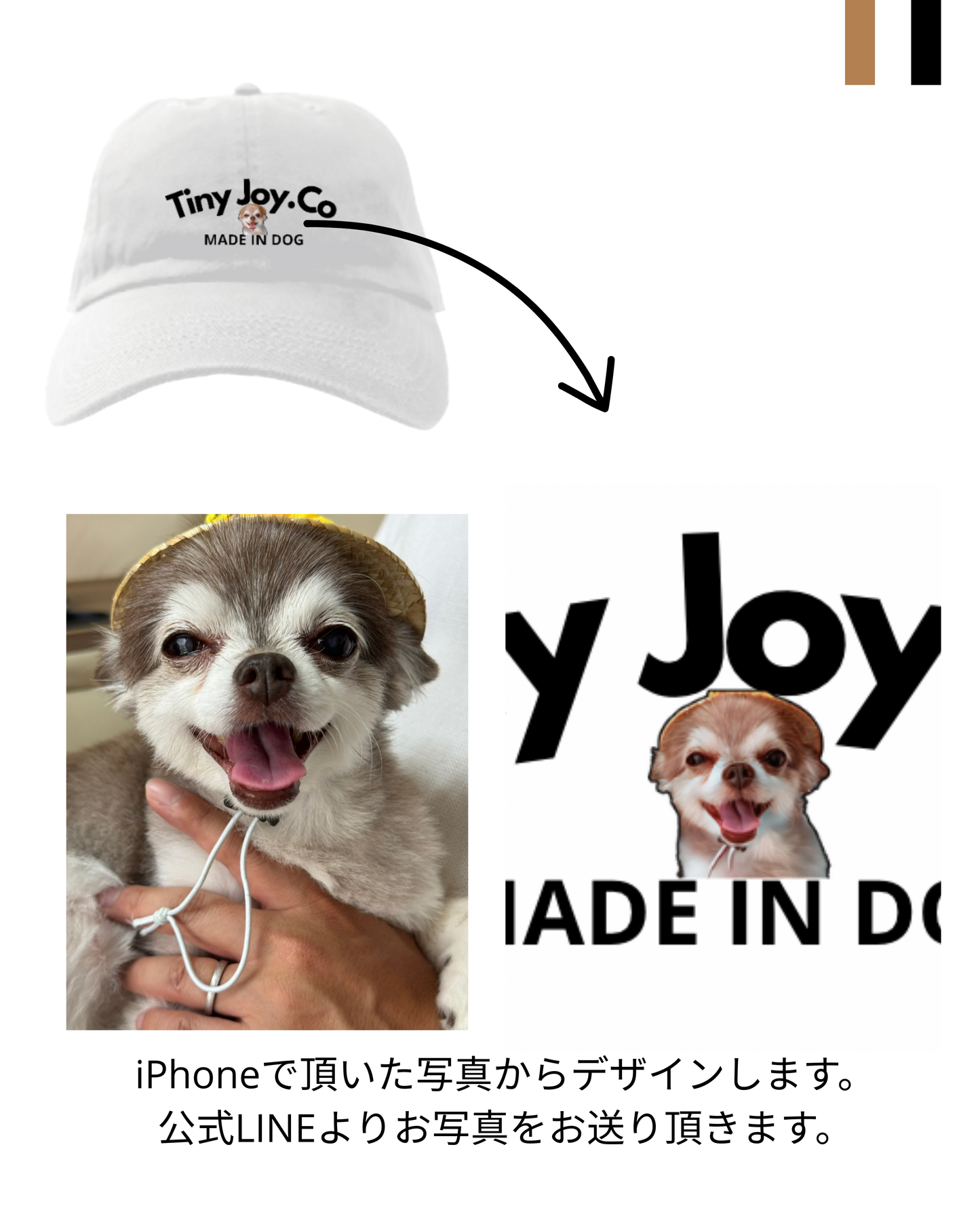 PET ペットオリジナルキャップ