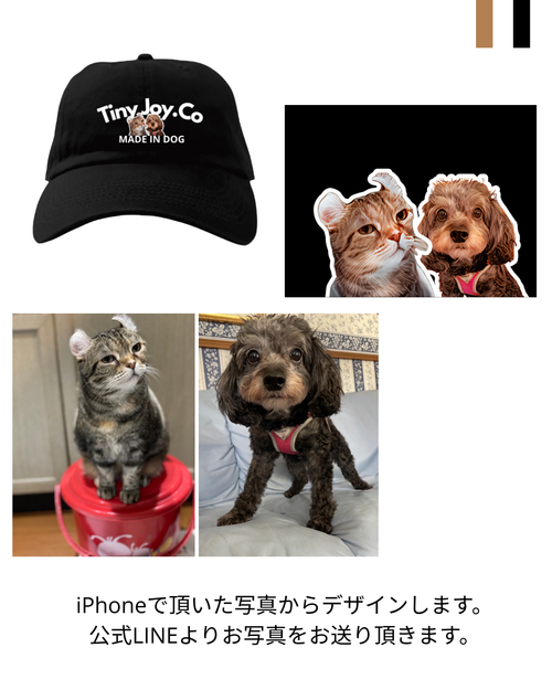 Myペットオリジナルキャップ〈Black〉