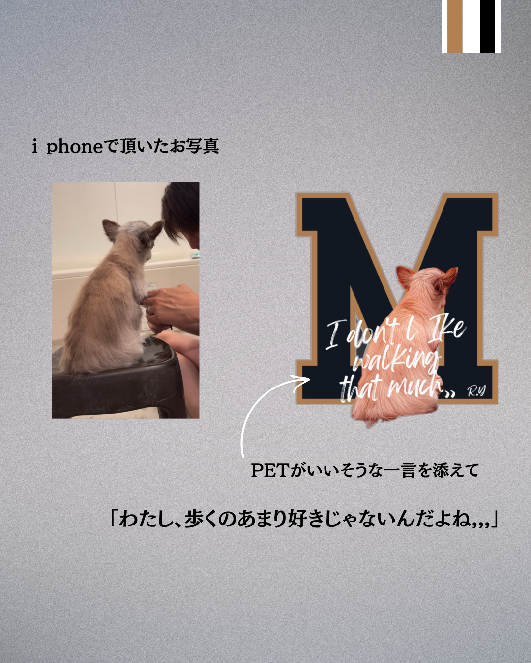 My PET SWEAT PANTS WHITETAGペットオリジナルスエットパンツホワイトタグ InuNeko