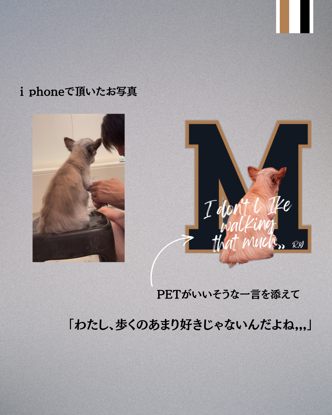 Orderスエットパンツバックヒップデザイン*ユニセックス