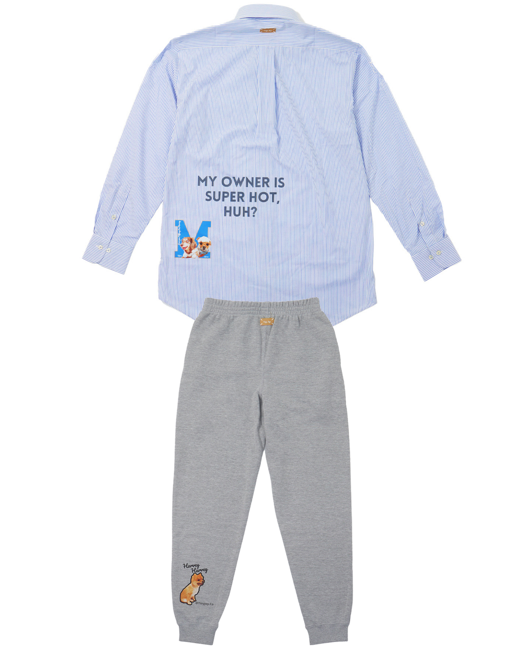 名入れ✖️ペット　ブルーストライプシャツ(うちの飼い主いけてるでしょ？)ユニセックスS~4L