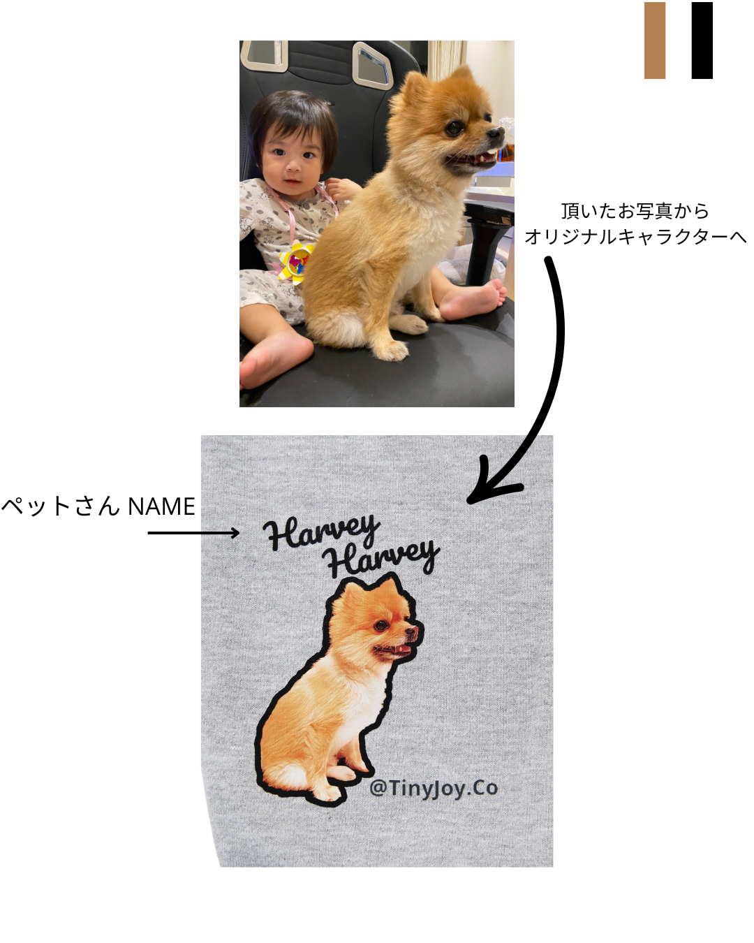 ユニセックスMy PET SWEAT BACK ANKLE(オリジナルバックアンクルデザイン)